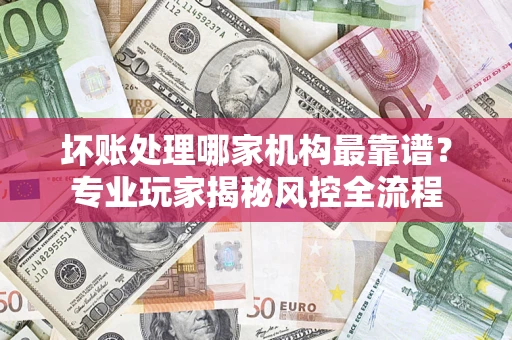 武汉坏账处理哪家机构最靠谱？专业玩家揭秘风控全流程