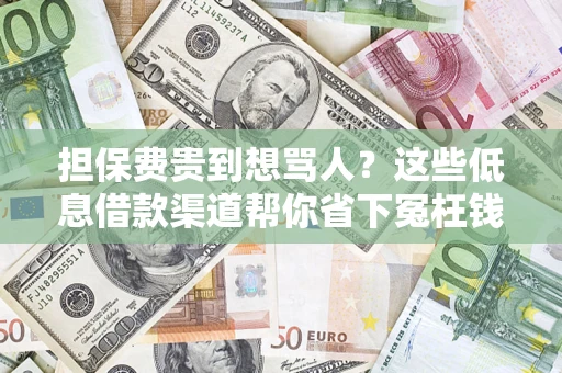 武汉担保费贵到想骂人？这些低息借款渠道帮你省下冤枉钱