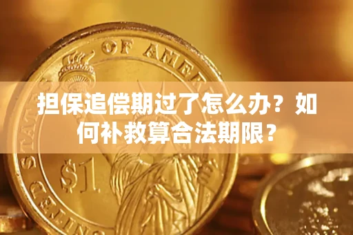 武汉担保追偿期过了怎么办？如何补救算合法期限？