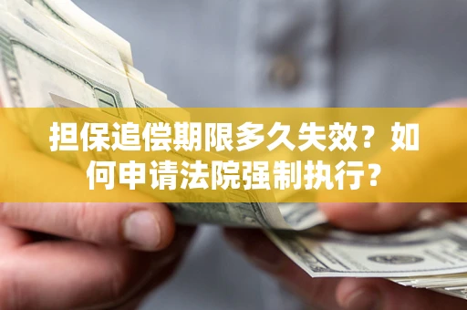 武汉担保追偿期限多久失效？如何申请法院强制执行？