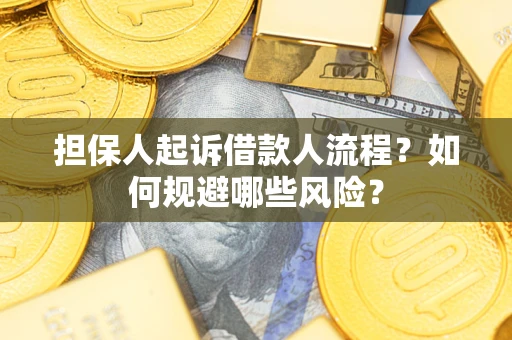 武汉担保人起诉借款人流程？如何规避哪些风险？