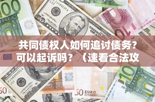 武汉共同债权人如何追讨债务？可以起诉吗？（速看合法攻略）