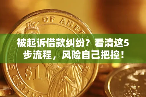 武汉被起诉借款纠纷？看清这5步流程，风险自己把控！