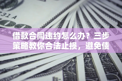 武汉借款合同违约怎么办？三步策略教你合法止损，避免债务危机升级